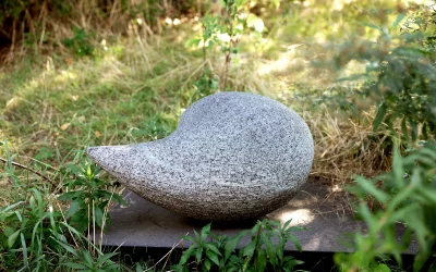 Jahresrückblich 2023